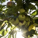 מלון Rural Casona Trabadelo