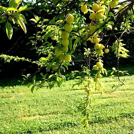 Rural Casona Trabadelo