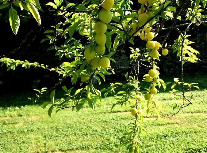 Rural Casona Trabadelo
