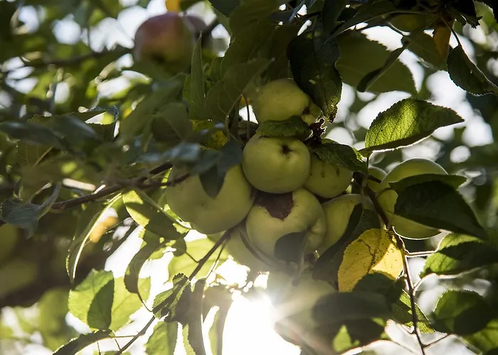 Hotel Rural Casona Trabadelo